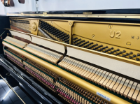 Chuyên Cung Cấp Sỉ Và Lẻ Piano & Guitar Secondhand Nhập Khẩu 100% Từ Nhật - Với Chất Lượng Và Chế Độ Bảo Hành Uy Tín, Nhanh Chóng. Hỗ trợ trả góp từ 0% bằng thẻ tín dụng cho khách hàng.