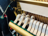 Chuyên Cung Cấp Sỉ Và Lẻ Piano & Guitar Secondhand Nhập Khẩu 100% Từ Nhật - Với Chất Lượng Và Chế Độ Bảo Hành Uy Tín, Nhanh Chóng. Hỗ trợ trả góp từ 0% bằng thẻ tín dụng cho khách hàng.