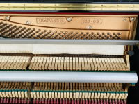 Chuyên Cung Cấp Sỉ Và Lẻ Piano & Guitar Secondhand Nhập Khẩu 100% Từ Nhật - Với Chất Lượng Và Chế Độ Bảo Hành Uy Tín, Nhanh Chóng. Hỗ trợ trả góp từ 0% bằng thẻ tín dụng cho khách hàng.