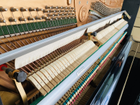 Chuyên Cung Cấp Sỉ Và Lẻ Piano & Guitar Secondhand Nhập Khẩu 100% Từ Nhật - Với Chất Lượng Và Chế Độ Bảo Hành Uy Tín, Nhanh Chóng. Hỗ trợ trả góp từ 0% bằng thẻ tín dụng cho khách hàng.