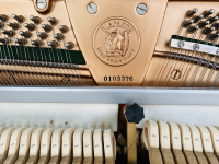 Chuyên Cung Cấp Sỉ Và Lẻ Piano & Guitar Secondhand Nhập Khẩu 100% Từ Nhật - Với Chất Lượng Và Chế Độ Bảo Hành Uy Tín, Nhanh Chóng. Hỗ trợ trả góp từ 0% bằng thẻ tín dụng cho khách hàng.