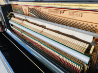 Chuyên Cung Cấp Sỉ Và Lẻ Piano & Guitar Secondhand Nhập Khẩu 100% Từ Nhật - Với Chất Lượng Và Chế Độ Bảo Hành Uy Tín, Nhanh Chóng. Hỗ trợ trả góp từ 0% bằng thẻ tín dụng cho khách hàng.