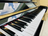 Chuyên Cung Cấp Sỉ Và Lẻ Piano & Guitar Secondhand Nhập Khẩu 100% Từ Nhật - Với Chất Lượng Và Chế Độ Bảo Hành Uy Tín, Nhanh Chóng. Hỗ trợ trả góp từ 0% bằng thẻ tín dụng cho khách hàng.