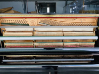 Chuyên Cung Cấp Sỉ Và Lẻ Piano & Guitar Secondhand Nhập Khẩu 100% Từ Nhật - Với Chất Lượng Và Chế Độ Bảo Hành Uy Tín, Nhanh Chóng. Hỗ trợ trả góp từ 0% bằng thẻ tín dụng cho khách hàng.