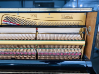 Chuyên Cung Cấp Sỉ Và Lẻ Piano & Guitar Secondhand Nhập Khẩu 100% Từ Nhật - Với Chất Lượng Và Chế Độ Bảo Hành Uy Tín, Nhanh Chóng. Hỗ trợ trả góp từ 0% bằng thẻ tín dụng cho khách hàng.