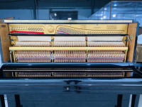 Chuyên Cung Cấp Sỉ Và Lẻ Piano & Guitar Secondhand Nhập Khẩu 100% Từ Nhật - Với Chất Lượng Và Chế Độ Bảo Hành Uy Tín, Nhanh Chóng. Hỗ trợ trả góp từ 0% bằng thẻ tín dụng cho khách hàng.