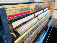 Chuyên Cung Cấp Sỉ Và Lẻ Piano & Guitar Secondhand Nhập Khẩu 100% Từ Nhật - Với Chất Lượng Và Chế Độ Bảo Hành Uy Tín, Nhanh Chóng. Hỗ trợ trả góp từ 0% bằng thẻ tín dụng cho khách hàng.