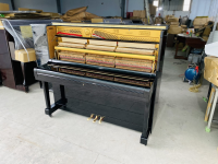 Chuyên Cung Cấp Sỉ Và Lẻ Piano & Guitar Secondhand Nhập Khẩu 100% Từ Nhật - Với Chất Lượng Và Chế Độ Bảo Hành Uy Tín, Nhanh Chóng. Hỗ trợ trả góp từ 0% bằng thẻ tín dụng cho khách hàng.