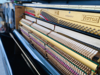 Chuyên Cung Cấp Sỉ Và Lẻ Piano & Guitar Secondhand Nhập Khẩu 100% Từ Nhật - Với Chất Lượng Và Chế Độ Bảo Hành Uy Tín, Nhanh Chóng. Hỗ trợ trả góp từ 0% bằng thẻ tín dụng cho khách hàng.