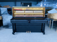 Chuyên Cung Cấp Sỉ Và Lẻ Piano & Guitar Secondhand Nhập Khẩu 100% Từ Nhật - Với Chất Lượng Và Chế Độ Bảo Hành Uy Tín, Nhanh Chóng. Hỗ trợ trả góp từ 0% bằng thẻ tín dụng cho khách hàng.