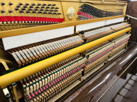 Chuyên Cung Cấp Sỉ Và Lẻ Piano & Guitar Secondhand Nhập Khẩu 100% Từ Nhật - Với Chất Lượng Và Chế Độ Bảo Hành Uy Tín, Nhanh Chóng. Hỗ trợ trả góp từ 0% bằng thẻ tín dụng cho khách hàng.