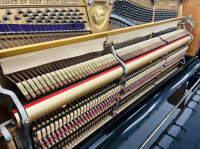 Chuyên Cung Cấp Sỉ Và Lẻ Piano & Guitar Secondhand Nhập Khẩu 100% Từ Nhật - Với Chất Lượng Và Chế Độ Bảo Hành Uy Tín, Nhanh Chóng. Hỗ trợ trả góp từ 0% bằng thẻ tín dụng cho khách hàng.