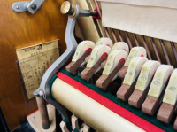 Chuyên Cung Cấp Sỉ Và Lẻ Piano & Guitar Secondhand Nhập Khẩu 100% Từ Nhật - Với Chất Lượng Và Chế Độ Bảo Hành Uy Tín, Nhanh Chóng. Hỗ trợ trả góp từ 0% bằng thẻ tín dụng cho khách hàng.