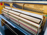 Chuyên Cung Cấp Sỉ Và Lẻ Piano & Guitar Secondhand Nhập Khẩu 100% Từ Nhật - Với Chất Lượng Và Chế Độ Bảo Hành Uy Tín, Nhanh Chóng. Hỗ trợ trả góp từ 0% bằng thẻ tín dụng cho khách hàng.