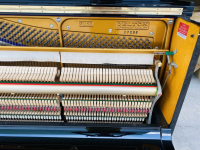 Chuyên Cung Cấp Sỉ Và Lẻ Piano & Guitar Secondhand Nhập Khẩu 100% Từ Nhật - Với Chất Lượng Và Chế Độ Bảo Hành Uy Tín, Nhanh Chóng. Hỗ trợ trả góp từ 0% bằng thẻ tín dụng cho khách hàng.