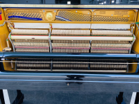 Chuyên Cung Cấp Sỉ Và Lẻ Piano & Guitar Secondhand Nhập Khẩu 100% Từ Nhật - Với Chất Lượng Và Chế Độ Bảo Hành Uy Tín, Nhanh Chóng. Hỗ trợ trả góp từ 0% bằng thẻ tín dụng cho khách hàng.