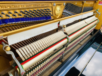 Chuyên Cung Cấp Sỉ Và Lẻ Piano & Guitar Secondhand Nhập Khẩu 100% Từ Nhật - Với Chất Lượng Và Chế Độ Bảo Hành Uy Tín, Nhanh Chóng. Hỗ trợ trả góp từ 0% bằng thẻ tín dụng cho khách hàng.