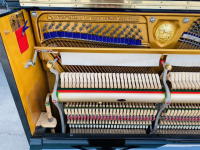 Chuyên Cung Cấp Sỉ Và Lẻ Piano & Guitar Secondhand Nhập Khẩu 100% Từ Nhật - Với Chất Lượng Và Chế Độ Bảo Hành Uy Tín, Nhanh Chóng. Hỗ trợ trả góp từ 0% bằng thẻ tín dụng cho khách hàng.