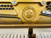 Chuyên Cung Cấp Sỉ Và Lẻ Piano & Guitar Secondhand Nhập Khẩu 100% Từ Nhật - Với Chất Lượng Và Chế Độ Bảo Hành Uy Tín, Nhanh Chóng. Hỗ trợ trả góp từ 0% bằng thẻ tín dụng cho khách hàng.