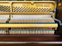 Chuyên Cung Cấp Sỉ Và Lẻ Piano & Guitar Secondhand Nhập Khẩu 100% Từ Nhật - Với Chất Lượng Và Chế Độ Bảo Hành Uy Tín, Nhanh Chóng. Hỗ trợ trả góp từ 0% bằng thẻ tín dụng cho khách hàng.