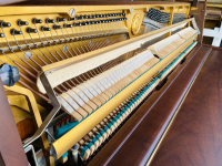 Chuyên Cung Cấp Sỉ Và Lẻ Piano & Guitar Secondhand Nhập Khẩu 100% Từ Nhật - Với Chất Lượng Và Chế Độ Bảo Hành Uy Tín, Nhanh Chóng. Hỗ trợ trả góp từ 0% bằng thẻ tín dụng cho khách hàng.