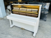 Chuyên Cung Cấp Sỉ Và Lẻ Piano & Guitar Secondhand Nhập Khẩu 100% Từ Nhật - Với Chất Lượng Và Chế Độ Bảo Hành Uy Tín, Nhanh Chóng. Hỗ trợ trả góp từ 0% bằng thẻ tín dụng cho khách hàng.