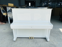 Chuyên Cung Cấp Sỉ Và Lẻ Piano & Guitar Secondhand Nhập Khẩu 100% Từ Nhật - Với Chất Lượng Và Chế Độ Bảo Hành Uy Tín, Nhanh Chóng. Hỗ trợ trả góp từ 0% bằng thẻ tín dụng cho khách hàng.