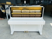 Chuyên Cung Cấp Sỉ Và Lẻ Piano & Guitar Secondhand Nhập Khẩu 100% Từ Nhật - Với Chất Lượng Và Chế Độ Bảo Hành Uy Tín, Nhanh Chóng. Hỗ trợ trả góp từ 0% bằng thẻ tín dụng cho khách hàng.