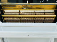 Chuyên Cung Cấp Sỉ Và Lẻ Piano & Guitar Secondhand Nhập Khẩu 100% Từ Nhật - Với Chất Lượng Và Chế Độ Bảo Hành Uy Tín, Nhanh Chóng. Hỗ trợ trả góp từ 0% bằng thẻ tín dụng cho khách hàng.