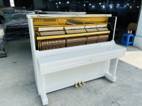 Chuyên Cung Cấp Sỉ Và Lẻ Piano & Guitar Secondhand Nhập Khẩu 100% Từ Nhật - Với Chất Lượng Và Chế Độ Bảo Hành Uy Tín, Nhanh Chóng. Hỗ trợ trả góp từ 0% bằng thẻ tín dụng cho khách hàng.