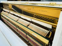 Chuyên Cung Cấp Sỉ Và Lẻ Piano & Guitar Secondhand Nhập Khẩu 100% Từ Nhật - Với Chất Lượng Và Chế Độ Bảo Hành Uy Tín, Nhanh Chóng. Hỗ trợ trả góp từ 0% bằng thẻ tín dụng cho khách hàng.