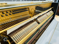 Chuyên Cung Cấp Sỉ Và Lẻ Piano & Guitar Secondhand Nhập Khẩu 100% Từ Nhật - Với Chất Lượng Và Chế Độ Bảo Hành Uy Tín, Nhanh Chóng. Hỗ trợ trả góp từ 0% bằng thẻ tín dụng cho khách hàng.