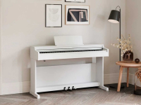 Chuyên Cung Cấp Sỉ Và Lẻ Piano & Guitar Secondhand Nhập Khẩu 100% Từ Nhật - Với Chất Lượng Và Chế Độ Bảo Hành Uy Tín, Nhanh Chóng. Hỗ trợ trả góp từ 0% bằng thẻ tín dụng cho khách hàng.