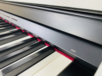 Chuyên Cung Cấp Sỉ Và Lẻ Piano & Guitar Secondhand Nhập Khẩu 100% Từ Nhật - Với Chất Lượng Và Chế Độ Bảo Hành Uy Tín, Nhanh Chóng. Hỗ trợ trả góp từ 0% bằng thẻ tín dụng cho khách hàng.