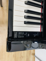 Chuyên Cung Cấp Sỉ Và Lẻ Piano & Guitar Secondhand Nhập Khẩu 100% Từ Nhật - Với Chất Lượng Và Chế Độ Bảo Hành Uy Tín, Nhanh Chóng. Hỗ trợ trả góp từ 0% bằng thẻ tín dụng cho khách hàng.