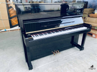 Earl Windsor W-112 Deluxa