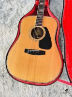 Morris TF-801 _ Lưng Jacaranda Made In Japan