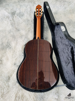 Yamaha GC-31C Made In Japan