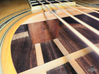 Morris W80 Zin Nguyên Bản Made In Japan