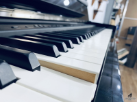 Mua đàn Yamaha CLP-S308 PE giá rẻ