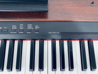Yamaha P155