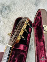 Cordoba GK Pro Negra 