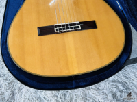 Yamaha GCX-31C Made In Japan