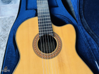 Yamaha GCX-31C Made In Japan