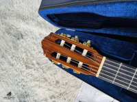 Yamaha GCX-31C Made In Japan