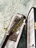 Yamaha GC-60 Cao Cấp Made in Japan