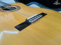 Takamine NPT-3TK made in Japan