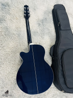 Takamine PTU-121C DBS