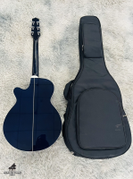 Takamine PTU-121C DBS