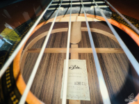 Aria AC-80 CD _ All solid Made in Spain